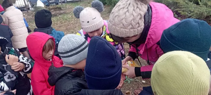 photo1701245751